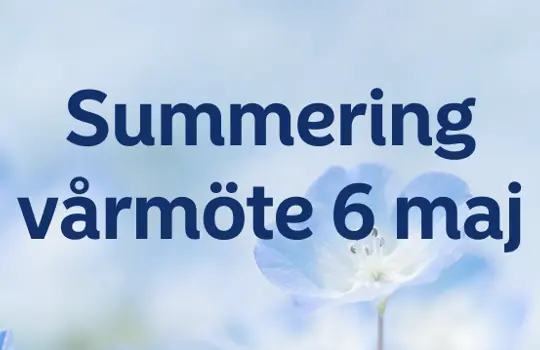 Summering Vårmöte 6 Maj